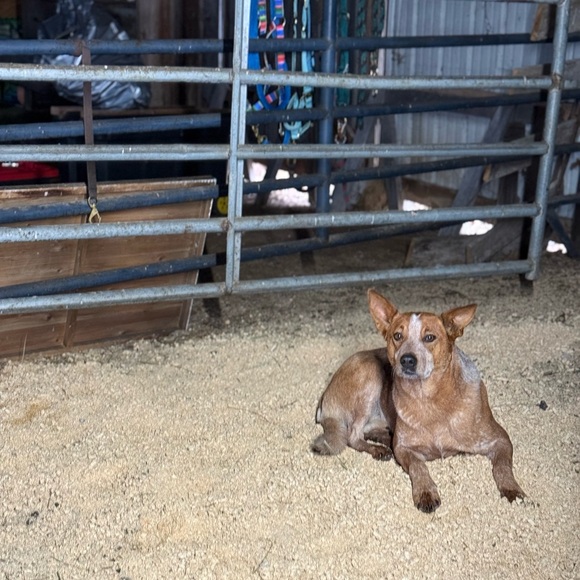 Meet your Posher, Olivia - Picture 10 of 12